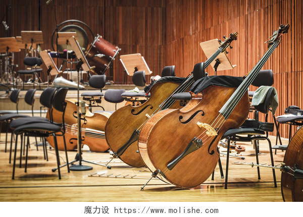 大提琴表演团队的乐器